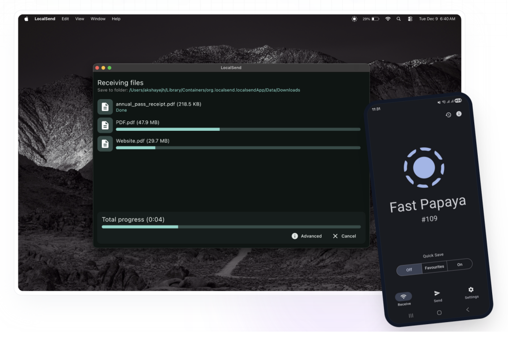 LocalSend transfers files through your local network.